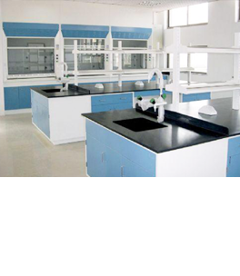 化验室妖精动漫网页版